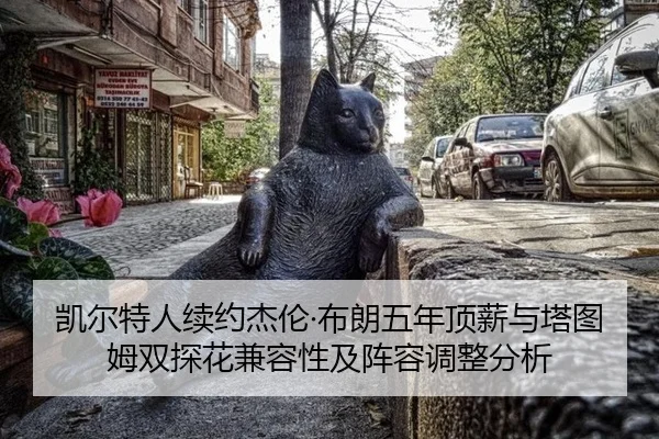 kai-er-te-ren-xu-yue-jie-lun-bu-lang-wu-nian-ding-xin-yu-ta-tu-mu-shuang-tan-hua-jian-rong-xing-ji-zhen-rong-tiao-zheng-2-334.jpg