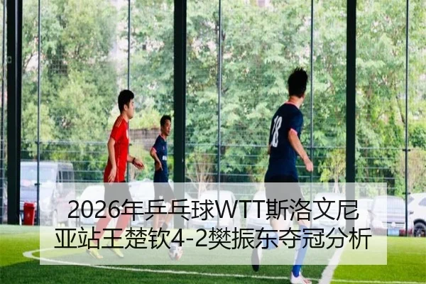 nian-ping-pang-qiu-si-luo-wen-ni-ya-zhan-wang-chu-qin-fan-zhen-dong-duo-guan-fen-xi-2-324.jpg